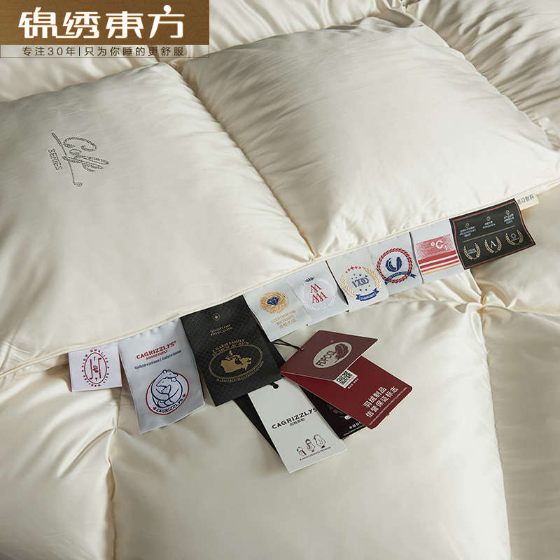 点击查看原图 Y00_5422.jpg